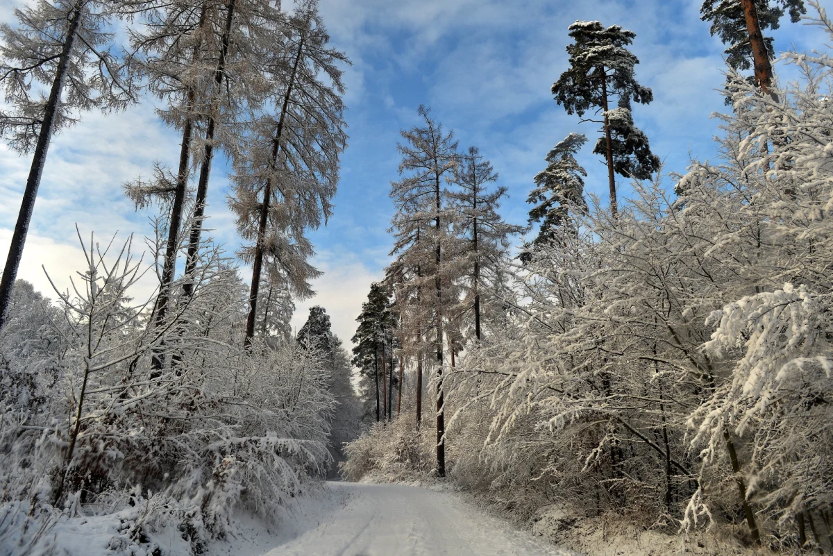 Trzeci stopień zagrożenia lawinowego obowiązuje w Tatrach. Zagrożenie drugiego stopnia ogłoszono w Karkonoszach i Bieszczadach. Tam także mocno wieje.