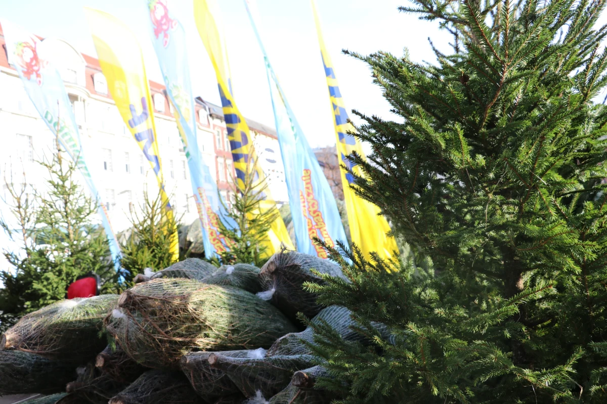 Na Placu Solnym we Wrocławiu rozdawaliśmy dziś "Choinki pod choinkę" od RMF FM. Wrocław to drugi przystanek na trasie naszego tegorocznego świątecznego konwoju. Ale oprócz pachnących drzewek było także wspólne kolędowanie i spotkanie z gwiazdami i całe mnóstwo słodyczy!