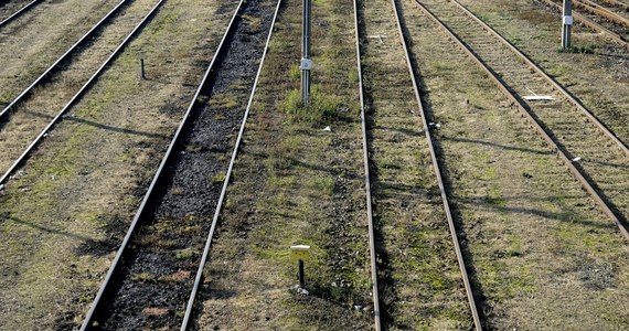 Tragedia rodzinna w Ziębicach na Dolnym Śląsku. W poniedziałek pociąg potrącił 27-latka. Dodatkowo policja w jednym z mieszkań znalazła ciało matki mężczyzny i jego ranną siostrę. 