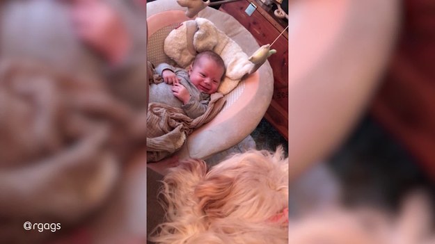Mama dziecka chciała uwiecznić niezwykłą więź jaka połączyła jej syna z psem, który został przez nią uratowany. Na początku miała obawy, ponieważ nie wiedziała jak zachowa się pupil w nowym środowisku. Jednak kiedy urodziła syna, pies w momencie potraktował go, nie jak rywala, a jak najlepszego przyjaciela. 