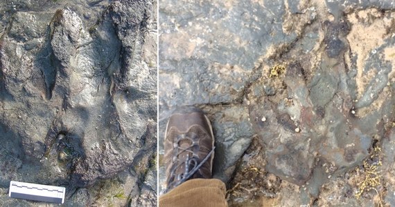 Ktoś zniszczył przy pomocy młotka liczący 115 milionów lat odcisk stopy dinozaura. Odcisk ten został odkryty przez paleontologów w 2006 roku w Flat Rocks w Australii. 