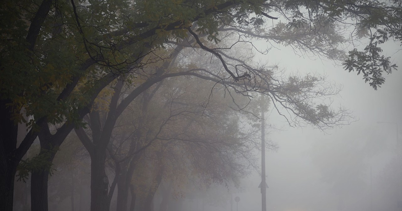 ​Polskie uzdrowisko tonie w smogu. Jakość powietrza jest fatalna