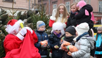 Choinki pod Choinkę od RMF FM. Byliśmy w Kielcach!