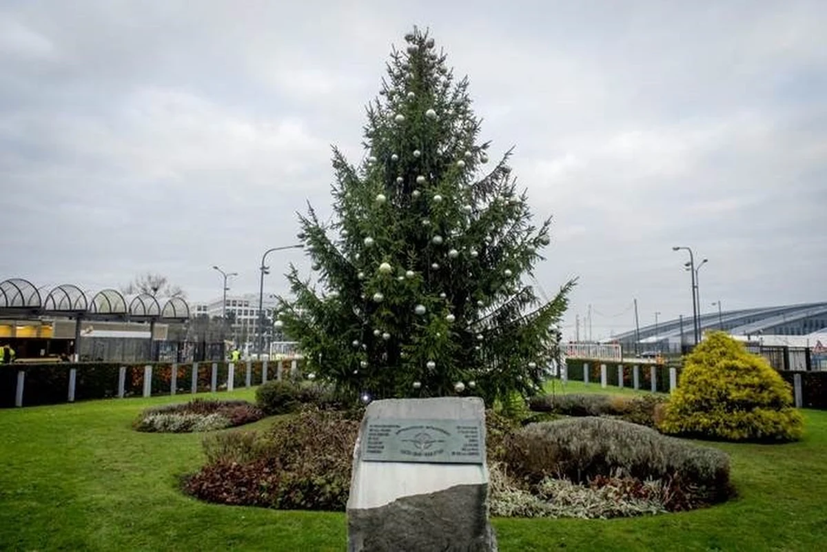 ​NATO ma dwie choinki - jedną przy głównym wejściu do Kwatery Głównej Sojuszu (ta ma 12 metrów wysokości), a mniejszą - w centrum dla pracowników. Choinki, które stoją na terenie Kwatery Głównej NATO, mają - jak zapewniają pracownicy - nie tylko symbolizować święta, ale także wymiar socjalny. 