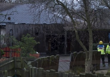 Pożar w londyńskim zoo. Zaginęło jedno egzotyczne zwierzę