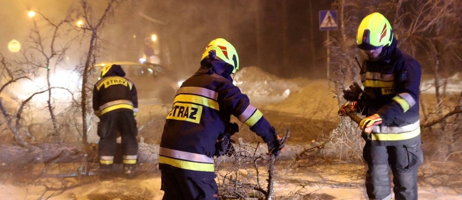 Niemal dla całego kraju Instytut Meteorologii i Gospodarki Wodnej wydał ostrzeżenia przed silnym wiatrem. Najgorzej jest w województwach pomorskim, warmińsko-mazurskim i północnej części województwa podlaskiego. W miejscowości Rybaki koło Kościerzyny na Pomorzu na przejeżdżający samochód przewróciło się drzewo. W wypadku zginęło dziecko. 