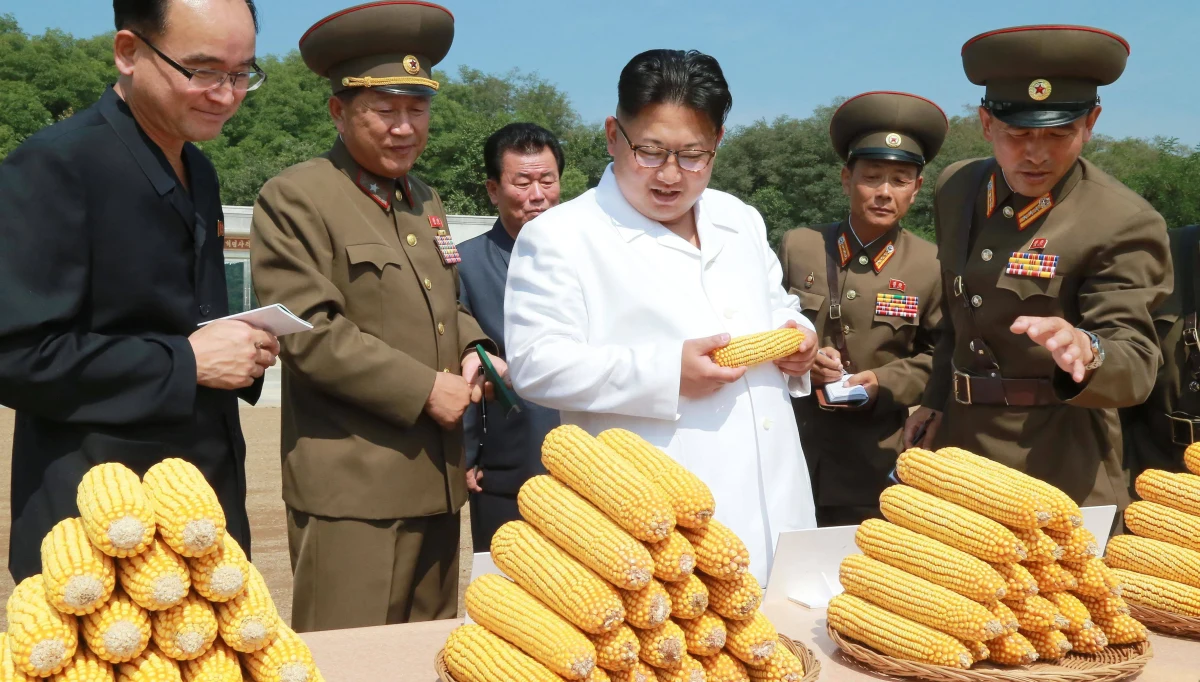 Nowe sankcje ONZ nałożone na Koreę Północną są "aktem wojny" i oznaczają "całkowitą blokadę gospodarczą" kraju - oświadczyło w niedzielę północnokoreańskie MSZ w komunikacie opublikowanym przez oficjalną agencję prasową KCNA.
