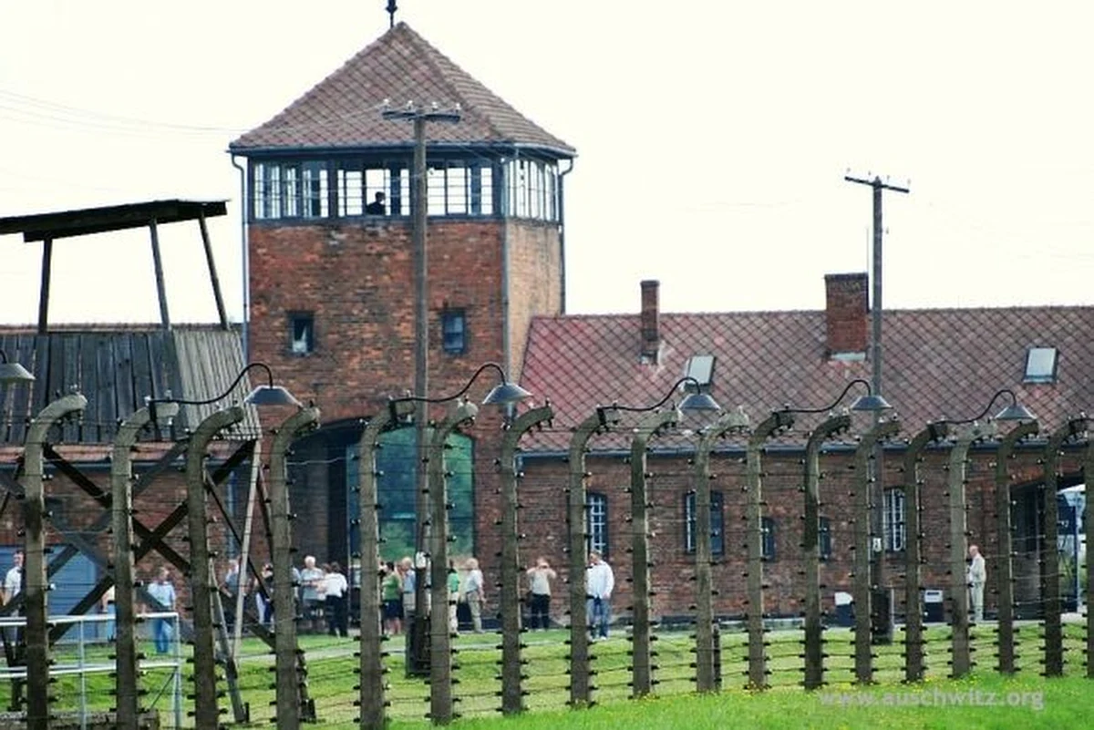 ​Lekcję internetową poświęconą zagładzie Żydów w niemieckim obozie Auschwitz udostępniło na swojej witrynie internetowej Muzeum Auschwitz - podała w środę placówka. Jej autorem jest kierownik Centrum Badań Muzeum dr Piotr Setkiewicz.