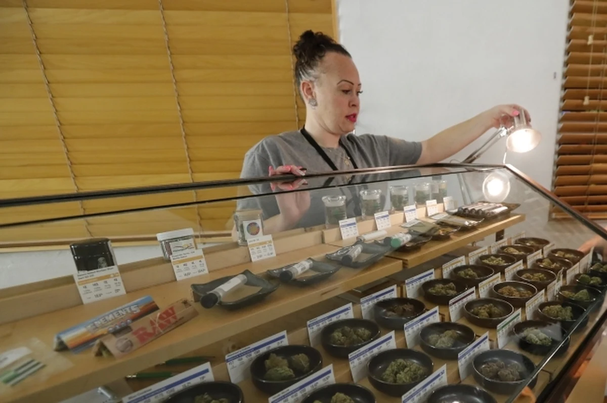 ​Amerykanie w wielu stanach wraz z 2018 rokiem powitali wejście w życie setek nowych - stanowych i lokalnych - regulacji. Nowe przepisy dotyczą różnych aspektów życia, w tym legalności marihuany, a także imigracji, zatrudnienia, a nawet rozwodów. Najwięcej uwagi amerykańskie media i eksperci prawni poświęcają zalegalizowania w Kalifornii używania marihuany w celach rekreacyjnych przez osoby, które ukończyły 21 lat.