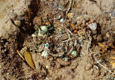 Niezwykłe odkrycie w bydgoskiej katedrze. Znaleziono 480 monet z XVI i XVII wieku