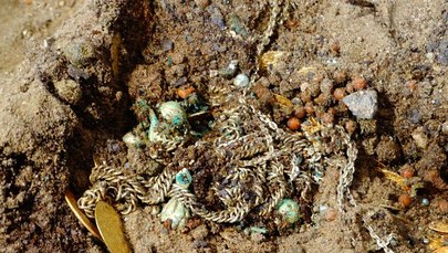Niezwykłe odkrycie w bydgoskiej katedrze. Znaleziono 480 monet z XVI i XVII wieku