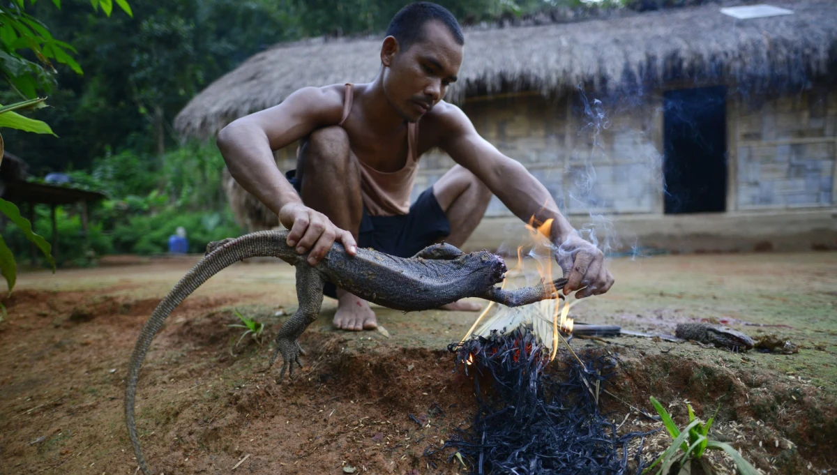 ​Brytyjscy naukowcy odkryli, że ludzkość zniknęłaby z powierzchni Ziemi w ciągu około trzech lat, jeśli wszyscy zostaliby kanibalami i nie jedli niczego, poza ludzkim mięsem. Badanie przeprowadzili pracownicy z Uniwersytetu w Leicester.