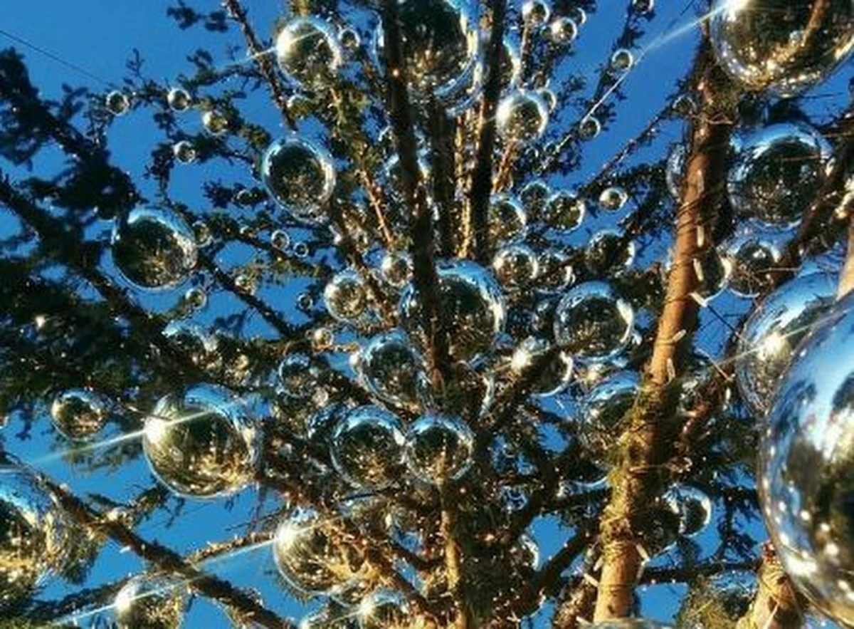 Mówili o niej, że to najbrzydsza choinka na świecie. Porównywali do szczotki do mycia toalety. Po święcie Trzech Króli przyszedł nas na jej usunięcie. Teraz rzymska choinka dostanie nowe życie. Pytanie tylko, jakie?