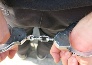Łódź: Areszt dla 25-latka, który znęcał się nad psem