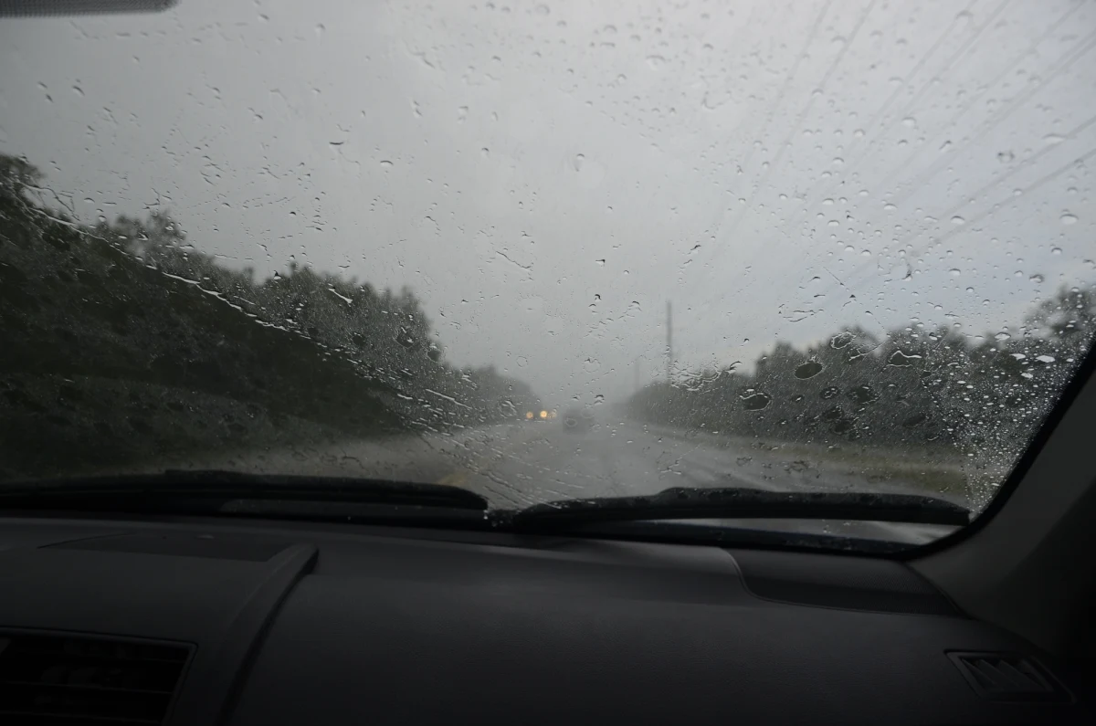 Do końca tygodnia nadal zima w Polsce z dodatnią temperaturą. Dziś wieczorem może dokuczać w kilku regionach kraju wiatr. Jutro zapowiada się deszczowo.