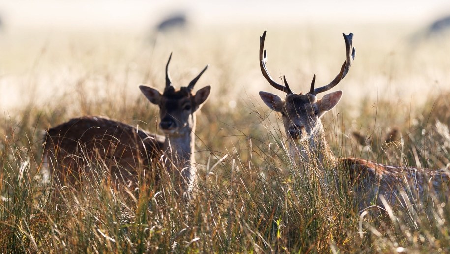 /PA/John Walton /PAP