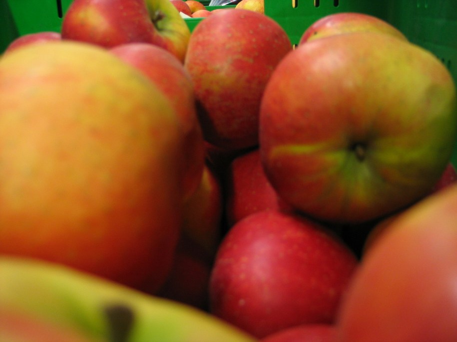 /Krzysztof Kot /Archiwum RMF FM