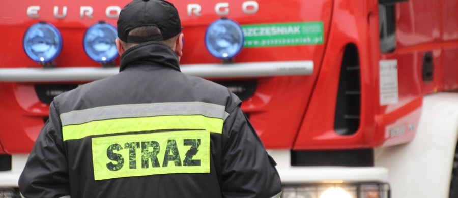 10 osób ewakuowano z kamienicy w centrum Radomia w związku z pożarem, który w wybuchł w jednym z mieszkań. Taką informację podał rzecznik prasowy radomskiej straży pożarnej Konrad Neska.