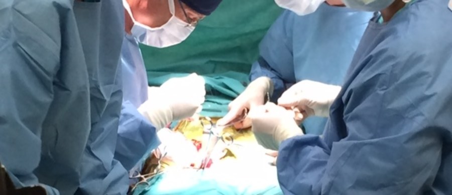 Po kilku latach stagnacji znowu wzrasta liczba transplantacji narządów w Polsce - wynika z najnowszych danych „Poltransplant”. W 2017 r. przeszczepiono 1531 organów, najwięcej od 2012 r.