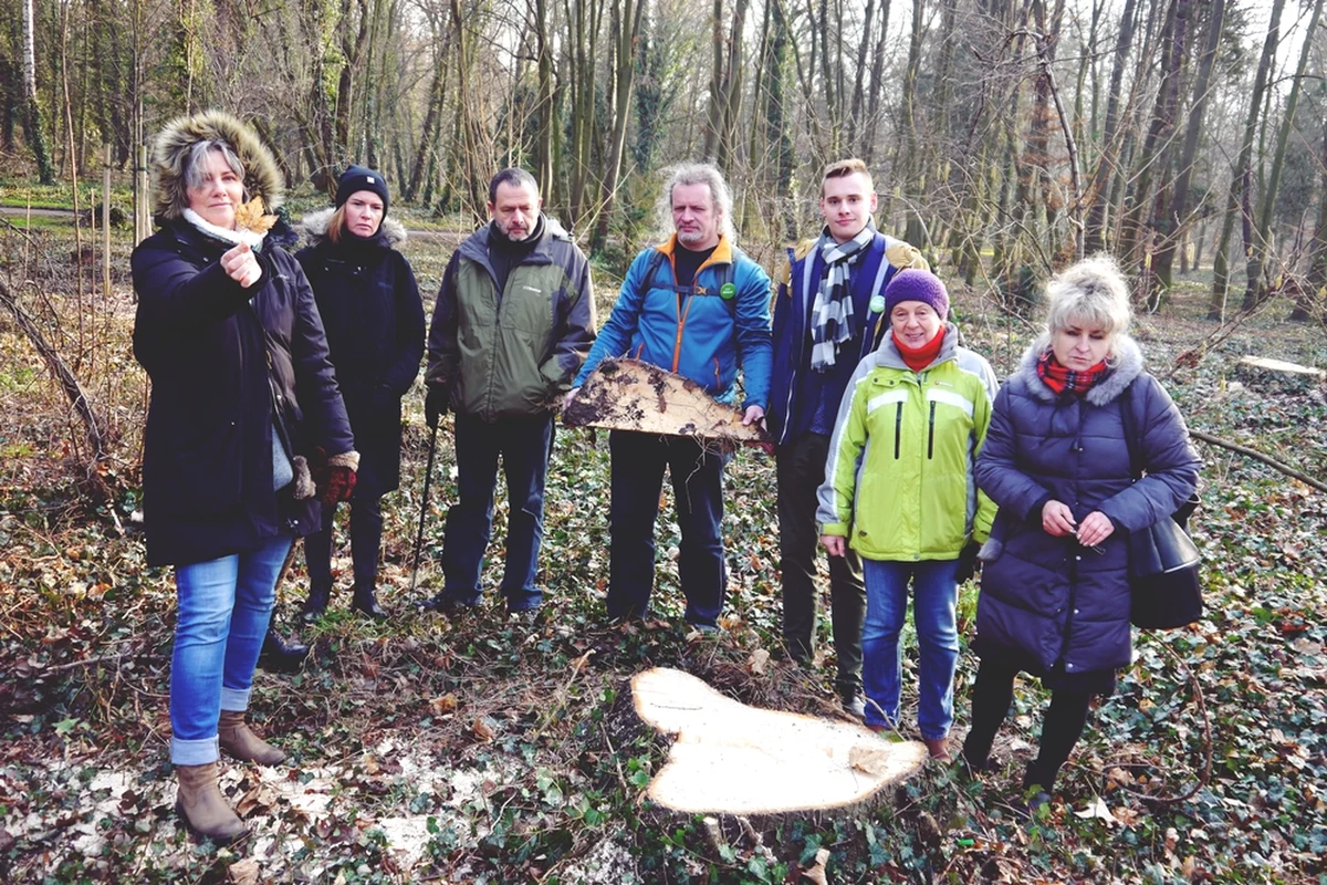 Blisko pół tysiąca drzew zostanie wyciętych w parku Grabiszyńskim we Wrocławiu. O wstrzymanie wycinki apelują mieszkańcy i aktywiści, miasto odpowiada: usuwane są tylko uschnięte i chore drzewa. Wycinka nie zostanie wstrzymana.