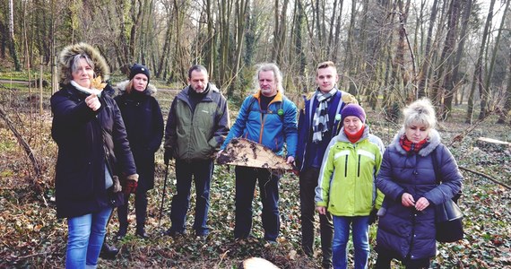 Blisko pół tysiąca drzew zostanie wyciętych w parku Grabiszyńskim we Wrocławiu. O wstrzymanie wycinki apelują mieszkańcy i aktywiści, miasto odpowiada: usuwane są tylko uschnięte i chore drzewa. Wycinka nie zostanie wstrzymana.