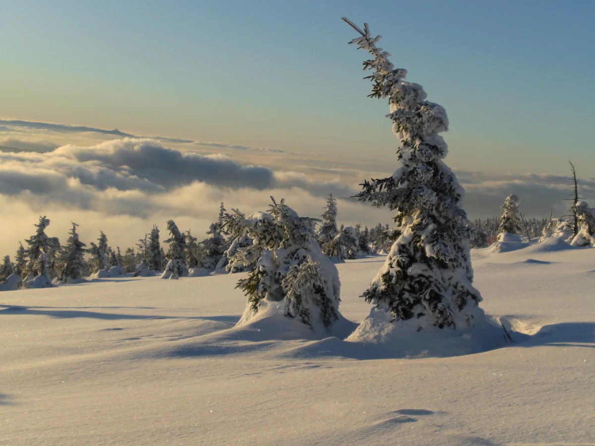 Miłośnicy białego szaleństwa wreszcie doczekali się prawdziwych opadów śniegu. Ale czy zima zagości w naszym kraju na dłużej? A może lepiej schować narty i sanki do piwnicy?