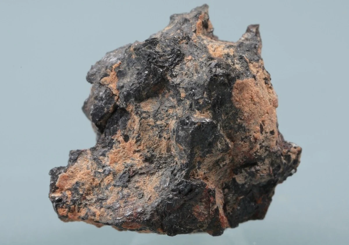 Mamy do czynienia z niezwykłym materiałem, pochodzącym z mgławicy starszej niż Układ Słoneczny - mówi RMF FM dr hab. Wojciech Przybyłowicz, współautor opublikowanej właśnie w czasopiśmie "Geochimica et Cosmochimica Acta" pracy na temat budowy materiału nazywanego Hypatią. To fragment kamyka o masie zaledwie 30 gramów, znalezionego w 1996 roku na pustyni w południowo-zachodnim Egipcie, nazwanego na cześć aleksandryjskiej matematyczki i filozofki żyjącej na przełomie IV i V wieku naszej ery. Badania tego małego, niepozornego kamyczka mogą zmienić nasze dotychczasowe poglądy na powstanie naszego Układu Słonecznego.