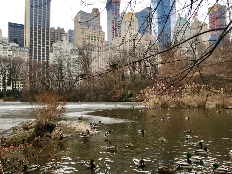 /Paweł Żuchowski /RMF FM