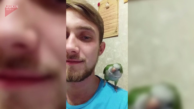 Kolejny miłośnik selfie dostał nauczkę. Od swojej papugi. Co było nie tak?