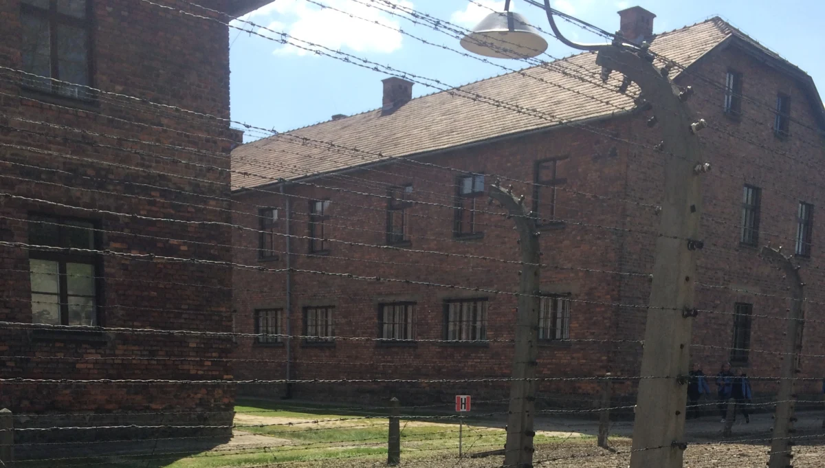 Szczątki sowieckiego samolotu bombowego Ił 4, zestrzelonego podczas działań frontowych związanych z wyzwoleniem niemieckiego obozu Auschwitz, odnalazła Fundacja Pobliskie Miejsca Pamięci Auschwitz-Birkenau – poinformował jej wiceprezes Artur Ciągała.
