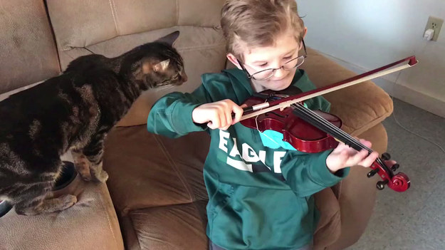 Chłopczyk postanowił poćwiczyć granie na skrzypcach. W pokoju był też jego kot. Co się wydarzyło?