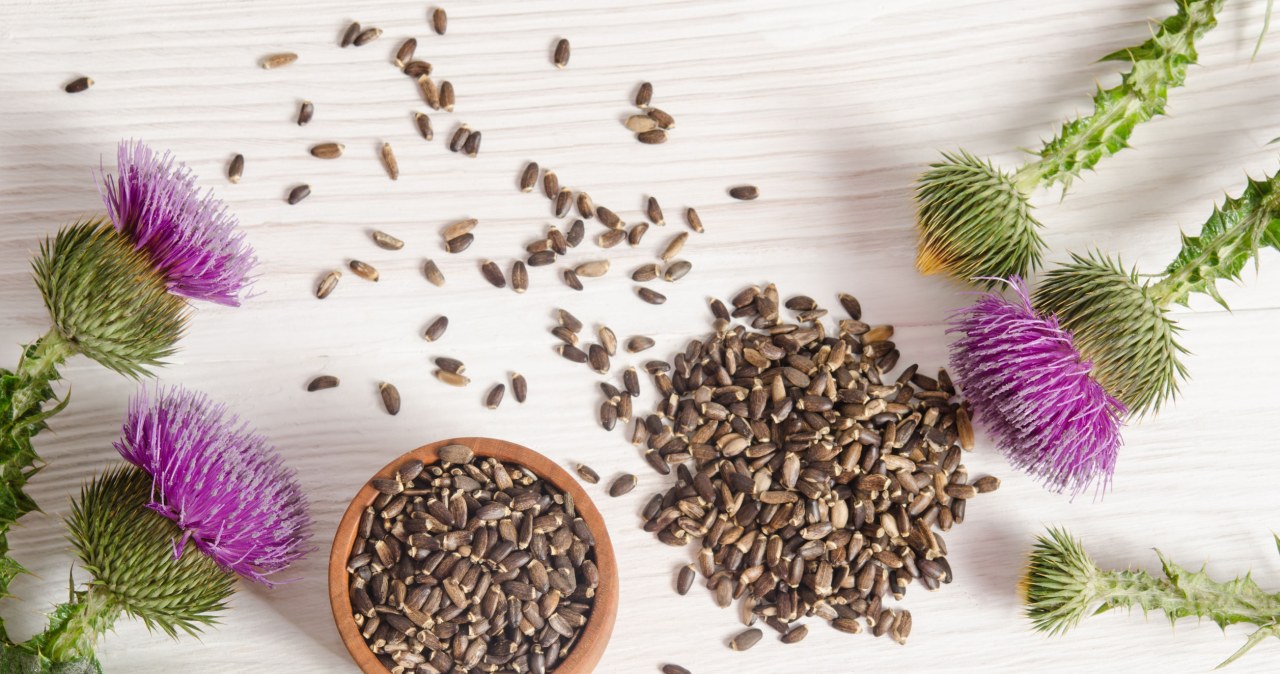 Czarcie żebro: Zapomniane zioło na wiele dolegliwości - Kobieta w ...