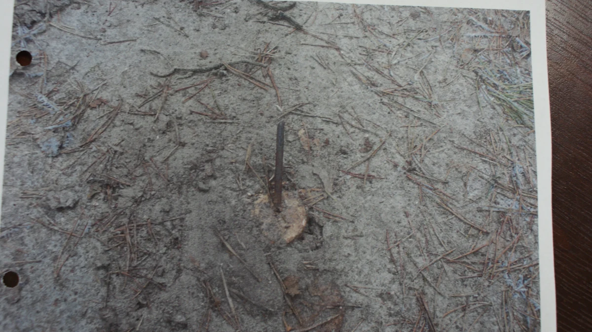 Przed ostrymi szpikulcami, które ktoś rozstawia na leśnych drogach w gminie Lelis w powiecie ostrołęckim na Mazowszu, ostrzegają policjanci. Do funkcjonariuszy zgłaszają się kolejni kierowcy, którzy uszkodzili sobie przez nie opony.