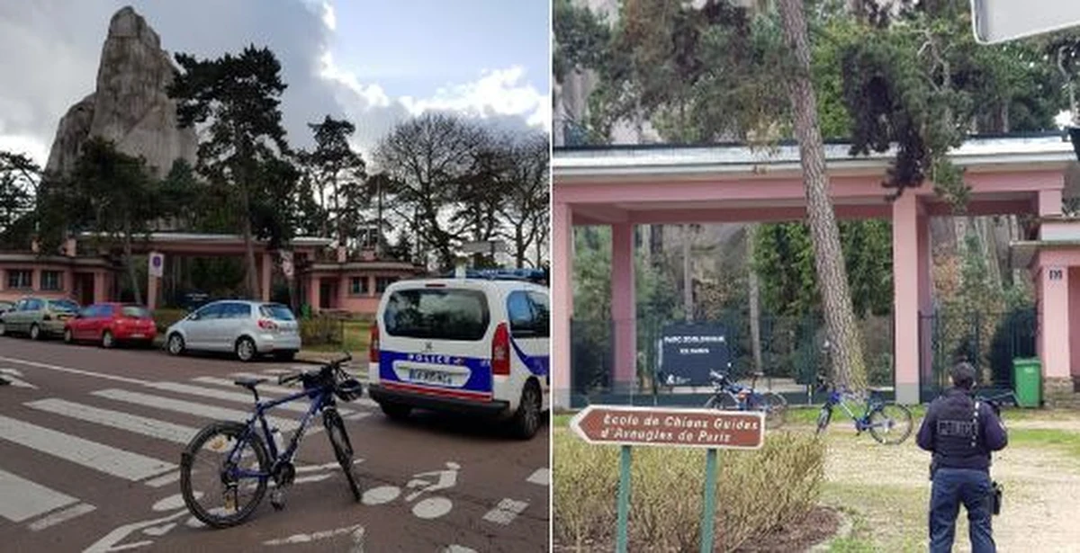 Kilkadziesiąt pawianów zdołało wydostać się z wybiegu w paryskim zoo. Ze względu na bezpieczeństwo, podjęto decyzję o ewakuacji zwiedzających. 