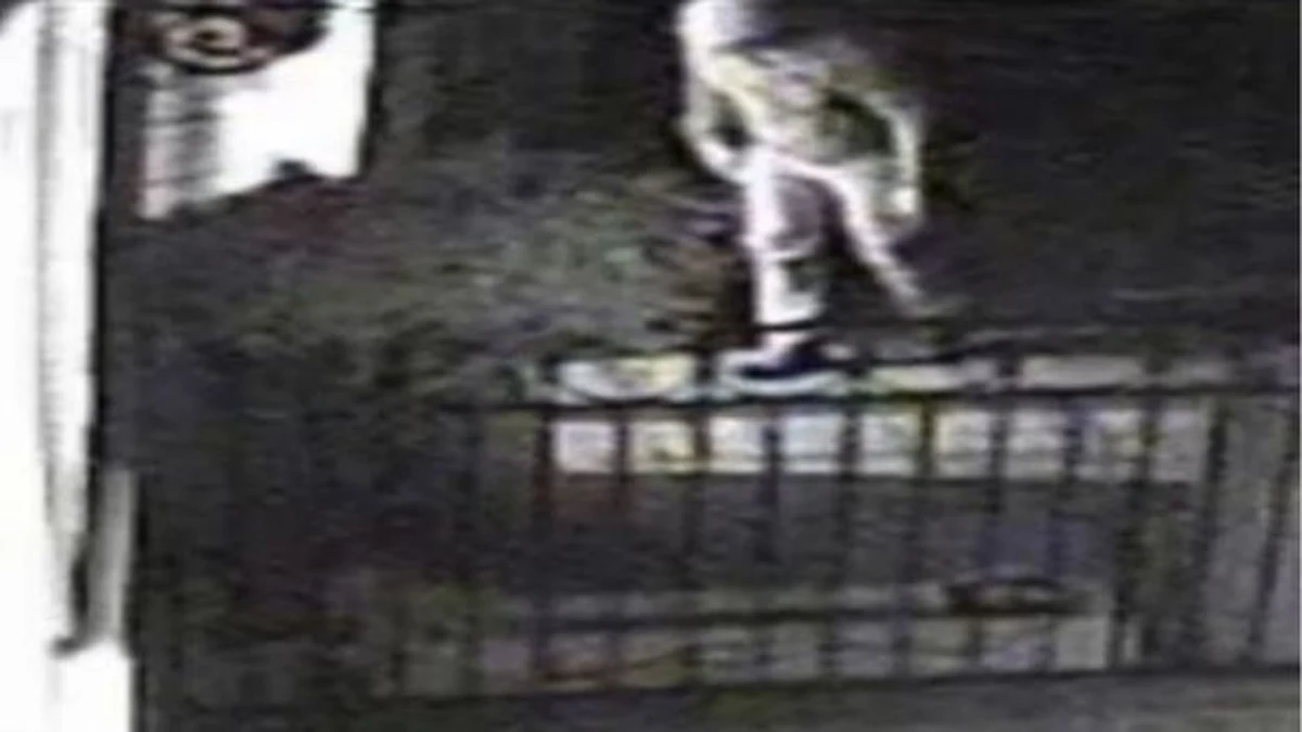 Siedem włamań i siedem milionów funtów. Brytyjska policja poszukuje włamywacza, który atakuje domy zamożnych ludzi na południowym wschodzie Anglii. Istnieje podejrzenie, że może nim być były żołnierz. 