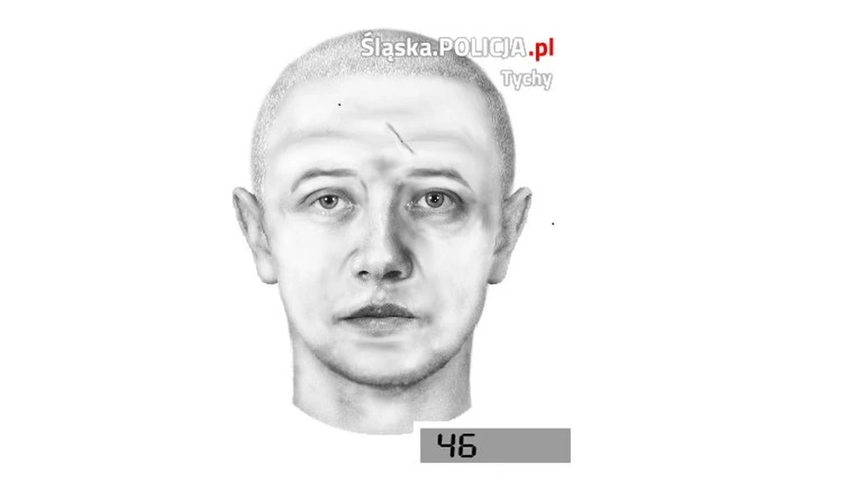 Policjanci z Tychów poszukują pedofila. Mężczyzna w wieku ok. 30-40 lat napastował seksualnie dziewczynkę. Policja opublikowała portret pamięciowy sprawcy. 