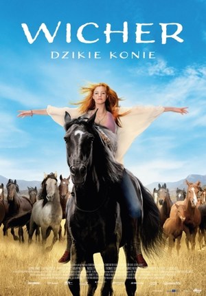 Wicher - dzikie konie