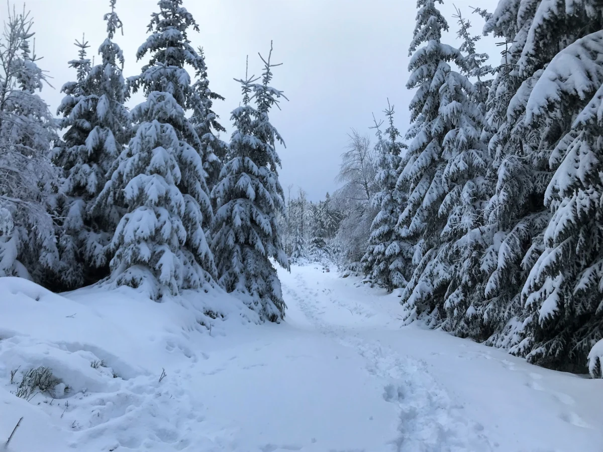 Instytut Meteorologii i Gospodarki Wodnej ostrzega przed intensywnymi opadami śniegu na południu Polski. Opady śniegu spodziewane są na Podkarpaciu i w Małopolsce. Śnieg ma zacząć sypać wieczorem. 