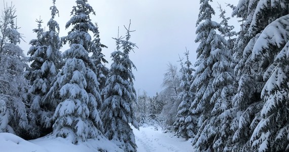 Instytut Meteorologii i Gospodarki Wodnej ostrzega przed intensywnymi opadami śniegu na południu Polski. Opady śniegu spodziewane są na Podkarpaciu i w Małopolsce. Śnieg ma zacząć sypać wieczorem. 
