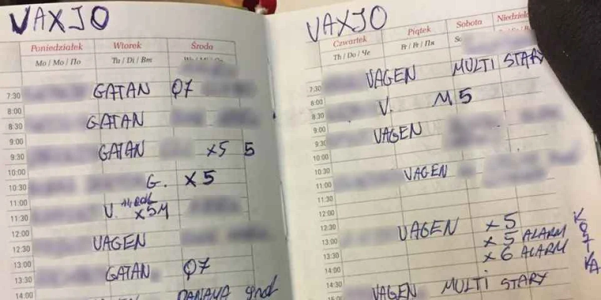 Dwóch Polaków zostało oskarżonych w Szwecji za udział w gangu, któremu tamtejsza policja przypisuje serię kradzieży luksusowych aut. „Według nas osoby te przybyły do naszego kraju w jednym celu – by popełniać tu przestępstwa” – oświadczył Carl Tobiazon ze szwedzkiej policji w rozmowie z gazetą „Expressen”.