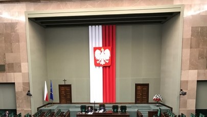 Sojusznicy będą mogli korzystać z broni polskiej armii. 428 posłów poparło ten pomysł