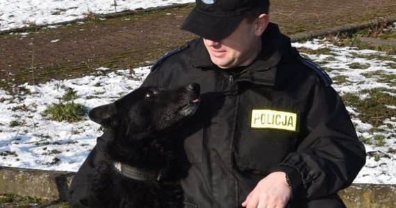 Uroczyste pożegnanie zorganizowano Brutusowi, owczarkowi niemieckiemu, który przeszedł na "emeryturę". Pies-funkcjonariusz pracował 10 lat w Wydziale Prewencji Komendy Miejskiej Policji w Szczecinie.