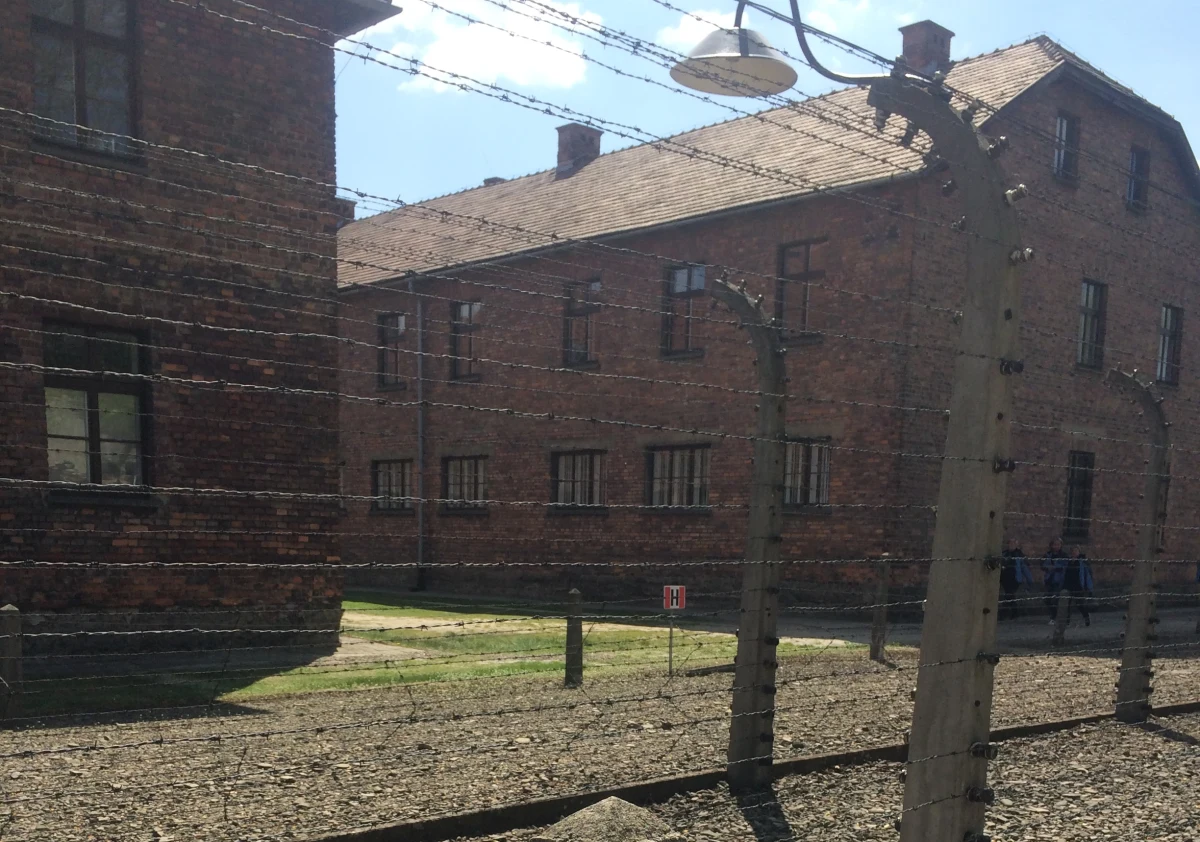 Liberalny brytyjski tygodnik "The Economist" skrytykował nowelizację ustawy o IPN, pisząc, że "rządzące Prawo i Sprawiedliwość chce przepisać historię na nowo, tak aby Polacy byli jedynie ofiarami - nigdy sprawcami".