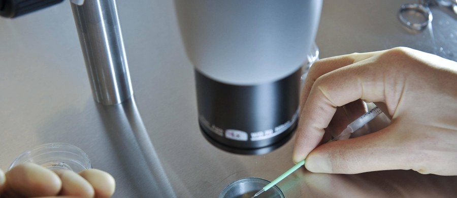 Uczeni z uniwersytetu w Edynburgu wyhodowali ludzkie komórki jajowe w warunkach laboratoryjnych. Uzyskali je z fragmentu tkanki macicy dziewczynki, zanim osiągnęła ona okres dojrzewania. To pierwszy taki przypadek w historii. Jest początkiem długiego okresu badań, których rezultaty mogą znaleźć zastosowanie kliniczne. 