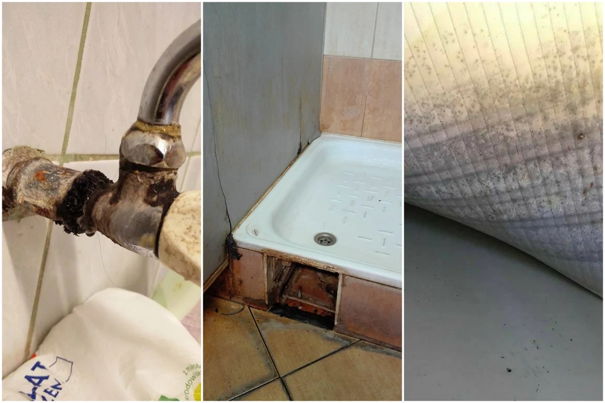 Szkoła Policji w Pile w Wielkopolsce mieści się w budynku z lat 20. Wilgoć z zabytkowych murach to nie nowość, ale zdaniem części słuchaczy szkoły – teraz miarka się przebrała. Zdjęciami i swoimi uwagami co do warunków, w jakich są skoszarowani, podzielili się z internautami na Facebooku. Na profilu polskie-sluzby.pl czytamy: "Policjanci śpią na zagrzybiałych materacach, w weekendy nie ma ciepłej wody i wyłączane jest ogrzewanie. Na prośbę wymiany materaca kursant-słuchacz otrzymuje odpowiedź: Jak się nie podoba, to pisz raport i do domu". 