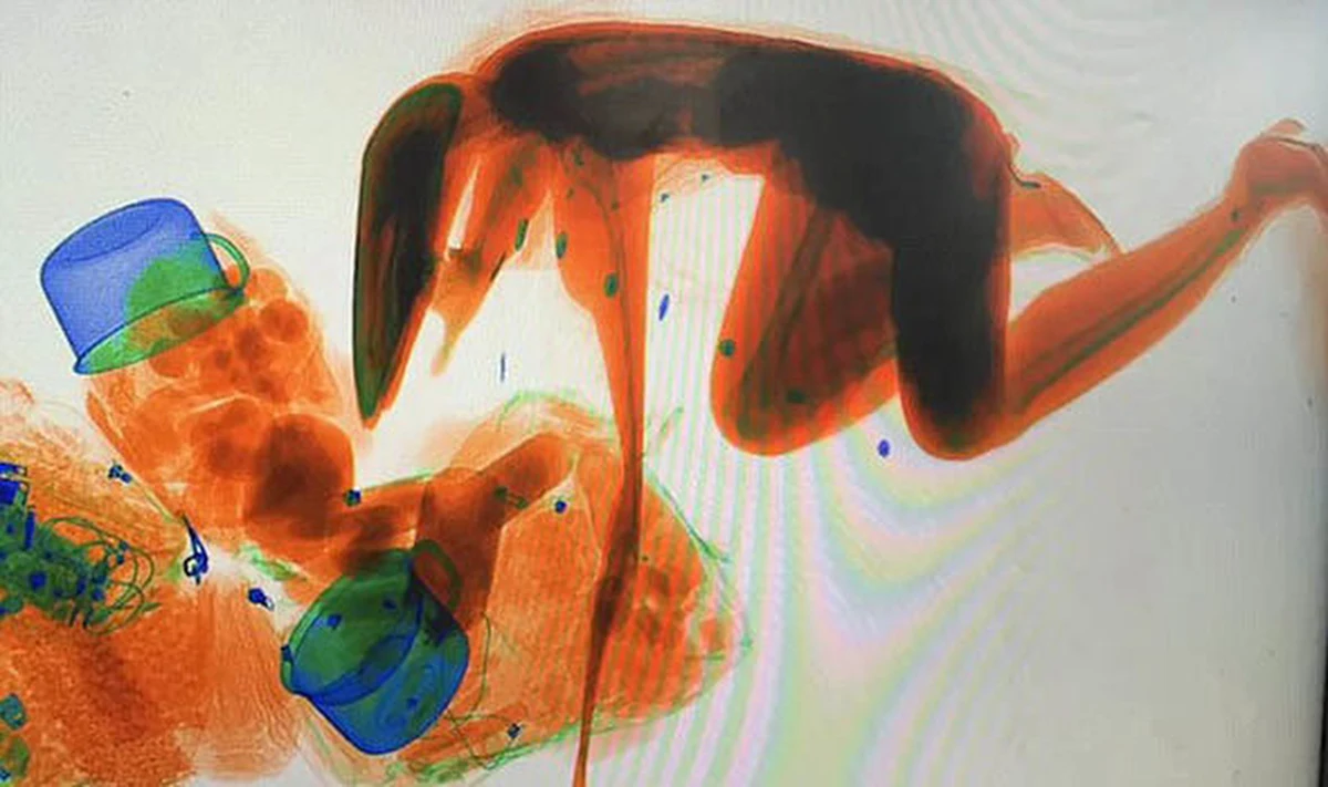 Bała się, że ktoś ukradnie jej torebkę? Pewna Chinka najwyraźniej nie chciała się rozstać ze swoim bagażem i „towarzyszyła” mu na taśmie w czasie prześwietlenia przez ochronę na stacji kolejowej w Dongguan.