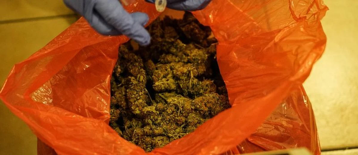 Pomorska policja przejęła około 260 kilogramów narkotyków o szacunkowej wartości 12 mln zł. Zdaniem funkcjonariuszy, środki odurzające miały zostać rozprowadzone na terenie województwa pomorskiego. W związku ze sprawą zatrzymano dwóch mężczyzn. Zostały im postawione zarzuty.