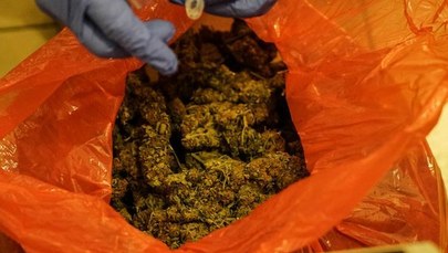 Policjanci znaleźli 250 kilogramów narkotyków. Były warte kilkanaście milionów