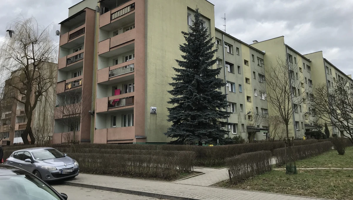 ​Policja zatrzymała czterech mężczyzn w wieku od 19 do 25 lat podejrzanych o zabójstwo 19-latka, który zginął 30 stycznia po ataku grupy mężczyzn na ul. Teligi w Krakowie - poinformował rzecznik Prokuratury Okręgowej w Krakowie Janusz Hnatko.