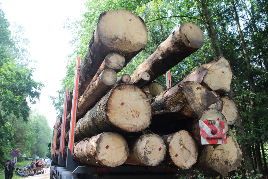 /Piotr Bułakowski /Archiwum RMF FM